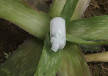 Natural white jade ring, brave the charm of the ring.