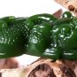 Jasper hand-carved the mythical wild animal (lucky treasure). Auspicious necklace pendant.