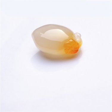 Natural agate plum fruit. Talisman necklace pendant