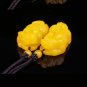 Yellow-yellow topaz, hand-carved pairs of brave, talisman pendant necklace,
