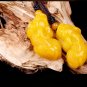 Yellow-yellow topaz, hand-carved pairs of brave, talisman pendant necklace,