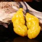 Yellow-yellow topaz, hand-carved pairs of brave, talisman pendant necklace,