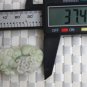 Hand-carved - natural blue field white green jade gold COINS. (amulet) pendant necklace.