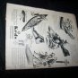 Vintage AMERICAN BOY July 1936 Magazine USA Drummer Boy