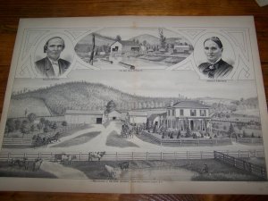 Antique 1870s NELSON WARREN Chemung Co NY Farm Old Mill Lithograph Print