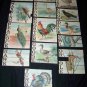 Antique 1880s-1890s Alphabet/ABC/Spelling Lithograph Children's Toy Cards~Birds