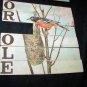 Antique 1880s-1890s Alphabet/ABC/Spelling Lithograph Children's Toy Cards~Birds