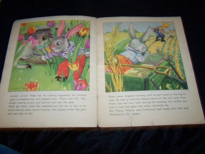 Vintage 1938 PETER RABBIT Ruth E Newton Linen-Like Book