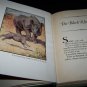 Vintage JUNGLE BABIES Edyth Kaigh-Eustace Illustrated Children's Book