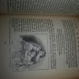 Antique 1925 MY BOOKHOUSE Latch Key of Children's Book