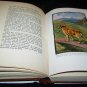 Vintage BOB SON OF BATTLE Alfred Ollivant Children's HC/DJ Book