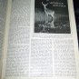 Vintage OUTLOOK Magazine March 9 1921 MARSH ANIMALS