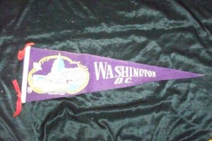 Vintage 1950s WASHINGTON D.C. Capitol Souvenir Pennant