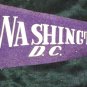 Vintage 1950s WASHINGTON D.C. Capitol Souvenir Pennant