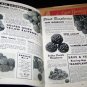 Vintage 1948 WHITTEN NURSERY Fruit Flower SEED CATALOG