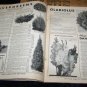 Vintage 1947 ALLEN NURSERIES Fruit Flower SEED CATALOG