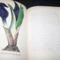 Antique THE AMERICAN FLORA  History of Plants Wild Flowers Vol III A.B. Strong Colored Engravings