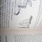 Vintage 1925 Practical Floriculture Peter Henderson Garden Book