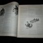 Antique SATURDAY EVENING POST Magazine Guernsey Moore