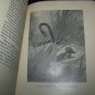 WILD ANIMALS I HAVE KNOWN Ernest Thompson Seton Book