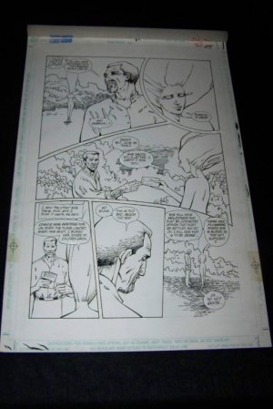 Original BLACK ORCHID Comic Book Art issue #11, pg. 23. Rebecca Guay