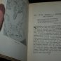Antique Trees, Shrubs and Vines of the Northeastern United States by  H.E. Parkhurst