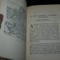 Antique Trees, Shrubs and Vines of the Northeastern United States by  H.E. Parkhurst