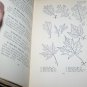 Antique Trees, Shrubs and Vines of the Northeastern United States by  H.E. Parkhurst
