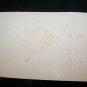 Antique TULIP SOAP Lithograph Embossed Rose Trade Card