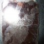 Antique Victorian Woman Lady Ribbon Hair Tintype Photo