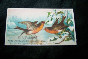 Antique SNOW BIRDS News Depot Circulating Library Victorian Chromolithograph Calling Business Card