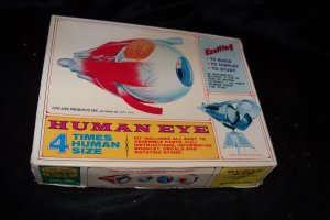 Vintage 1960s Life-Like HUMAN EYE Pyro Hobby Model Kit S-371