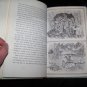 Vintage 1977 ABEL'S ISLAND William Stieg HC Book 3rd Print