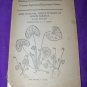 1924 Some Natural Violet Hybrids of North America Vermont Book