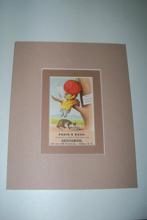 Antique Victorian Trade Card Tomato Catsup Chromo Litho