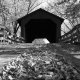 Covered Bridges