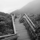 Block Island Southeast Beach Steps 8x10