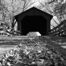 Sugar Creek Covered Bridge B/W 8x10