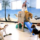 Day Care