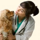 Veterinario