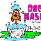 DOG WASH