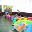 Competencias