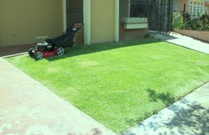 Corte sencillo.