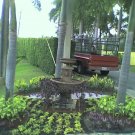 Confección de jardín.