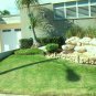 Jardín con fuente.