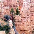 Bryce Canyon ACEO