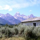 Rustin Cabin at Grand Teton ACEO