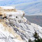 Yellowstone ACEO