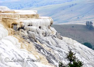 Yellowstone ACEO