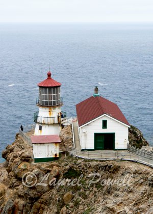 ACEO Point Reyes Lighthouse